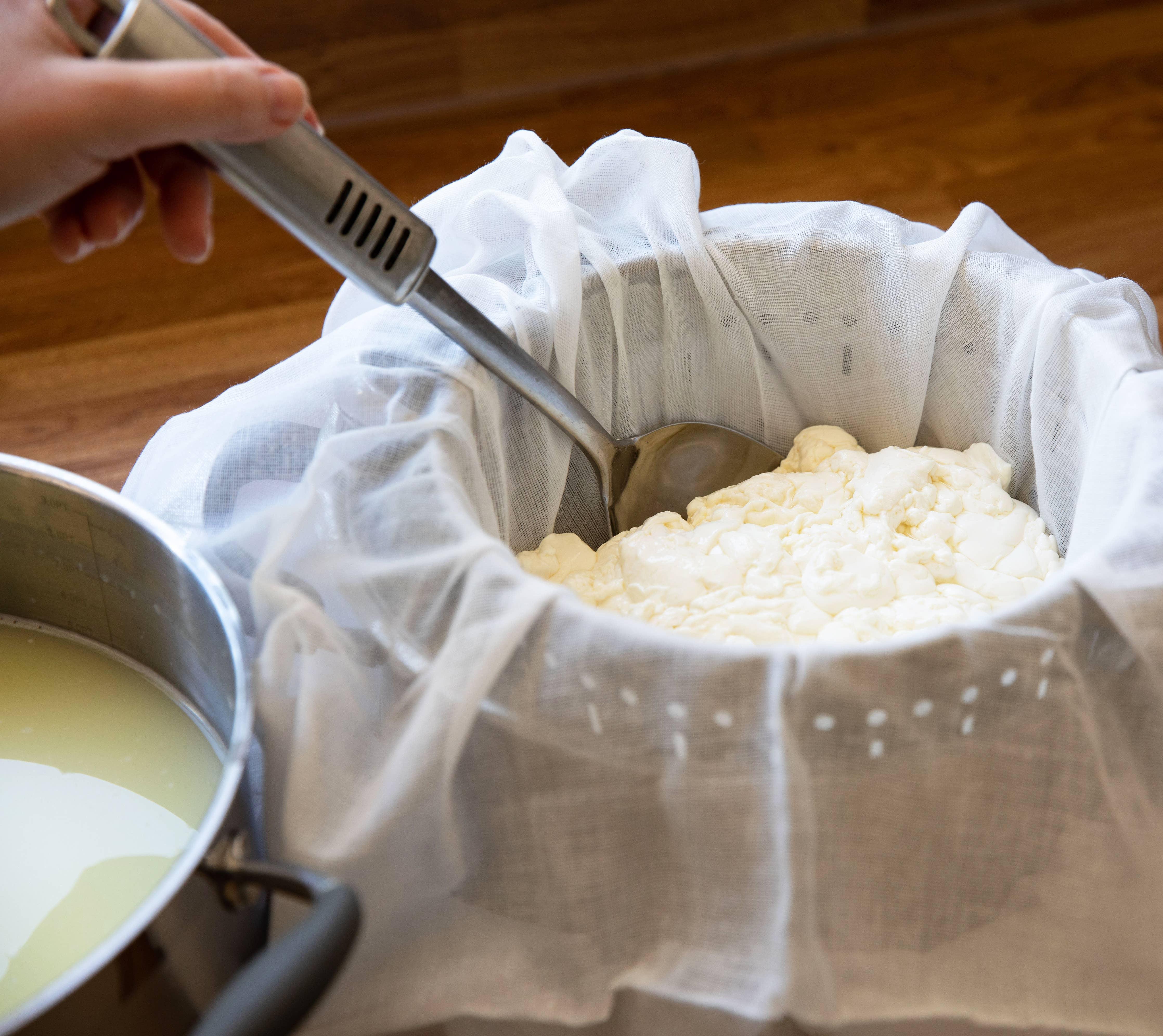 Beer Lover's Cheese Making Kit - Foodie Gift Vegetarian gluten free - Image 5