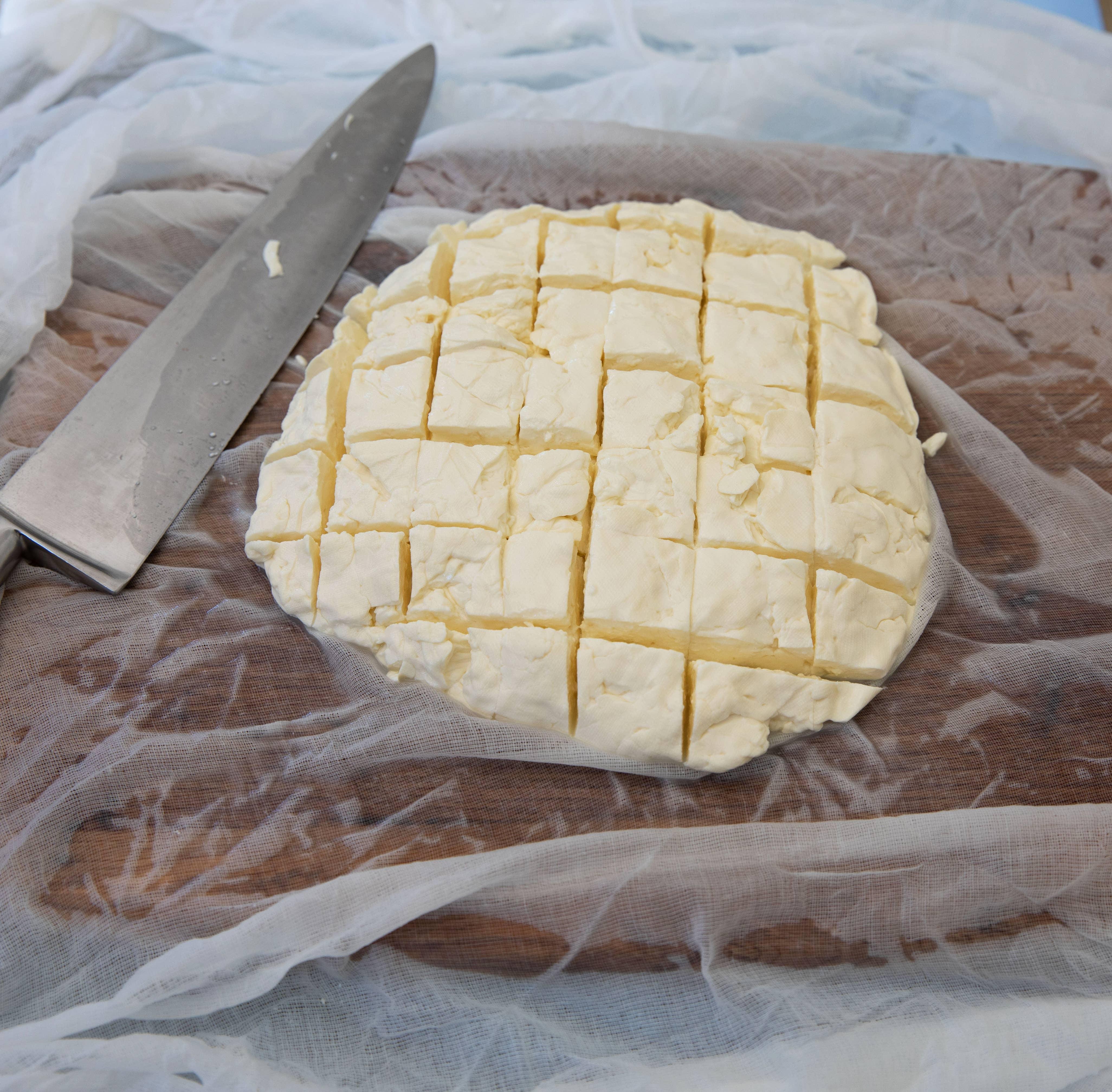 Beer Lover's Cheese Making Kit - Foodie Gift Vegetarian gluten free - Image 8