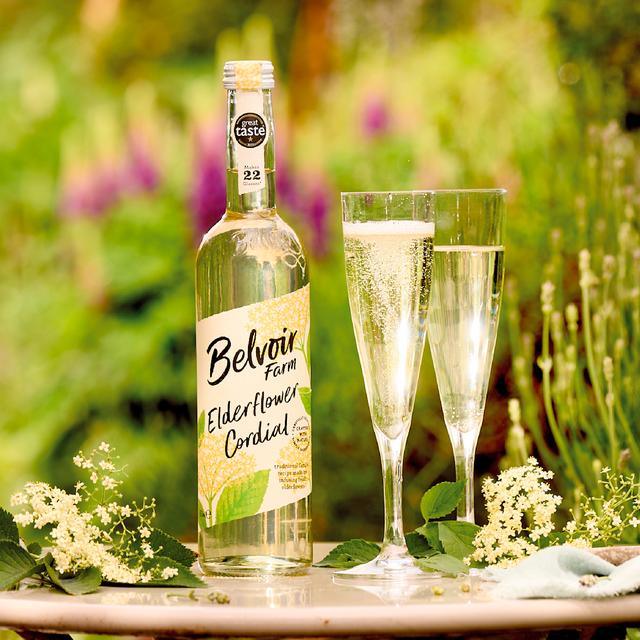 Belvoir Elderflower Cordial (500ml) - Image 3