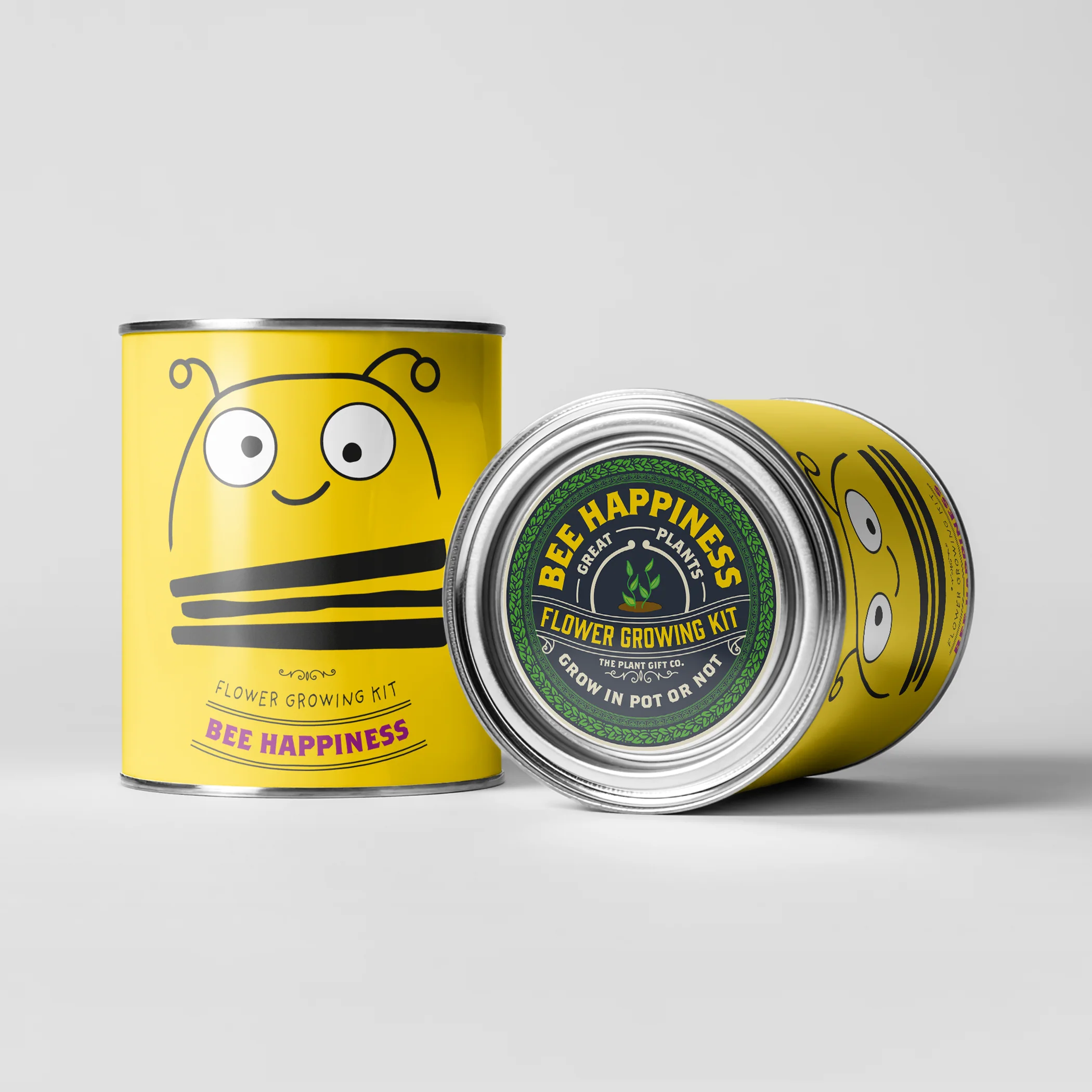 The Plant Gift Co. Big Bee Happiness Eco Plant Grow Kit - Image 2