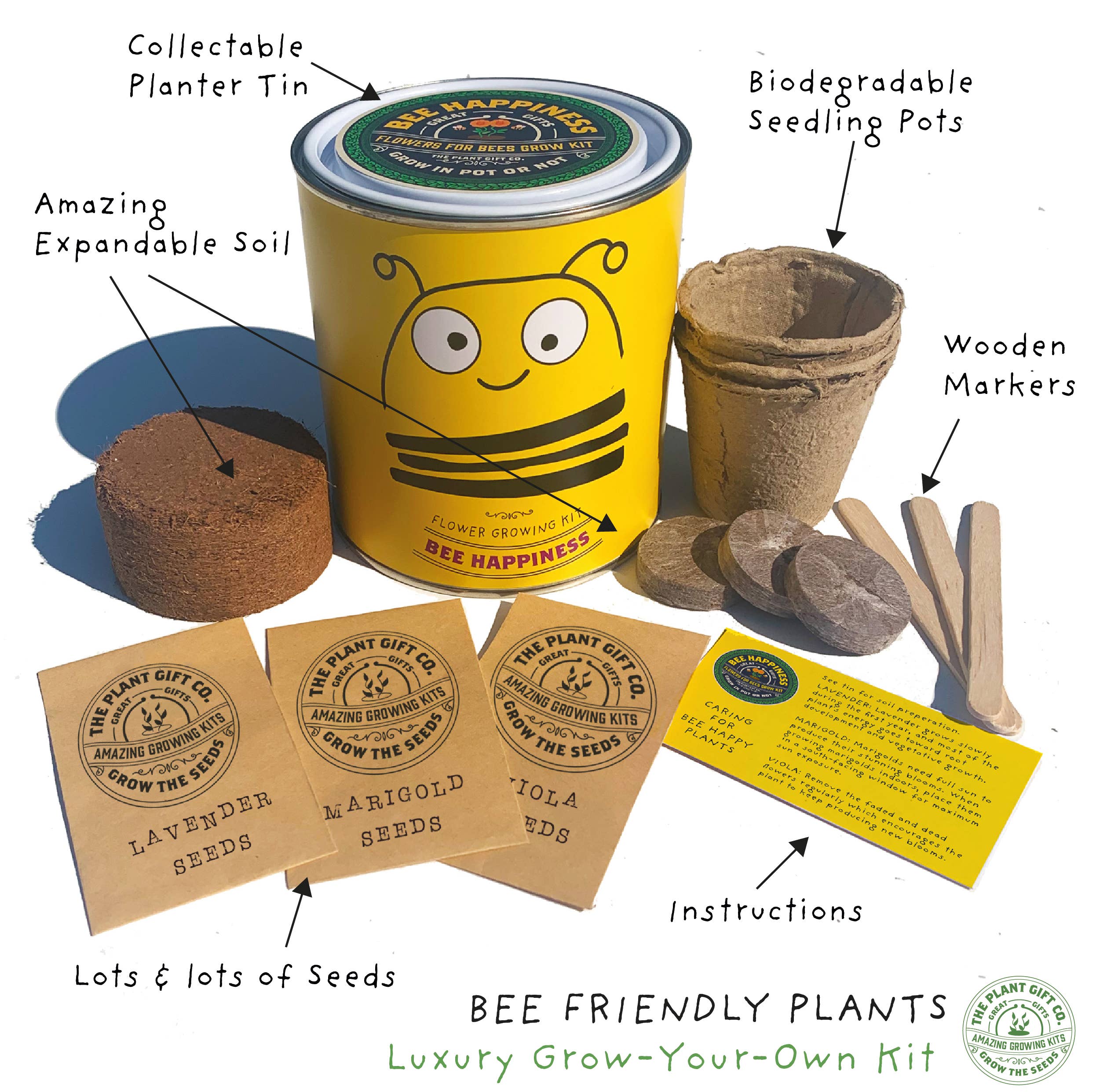 The Plant Gift Co. Big Bee Happiness Eco Plant Grow Kit - Image 3