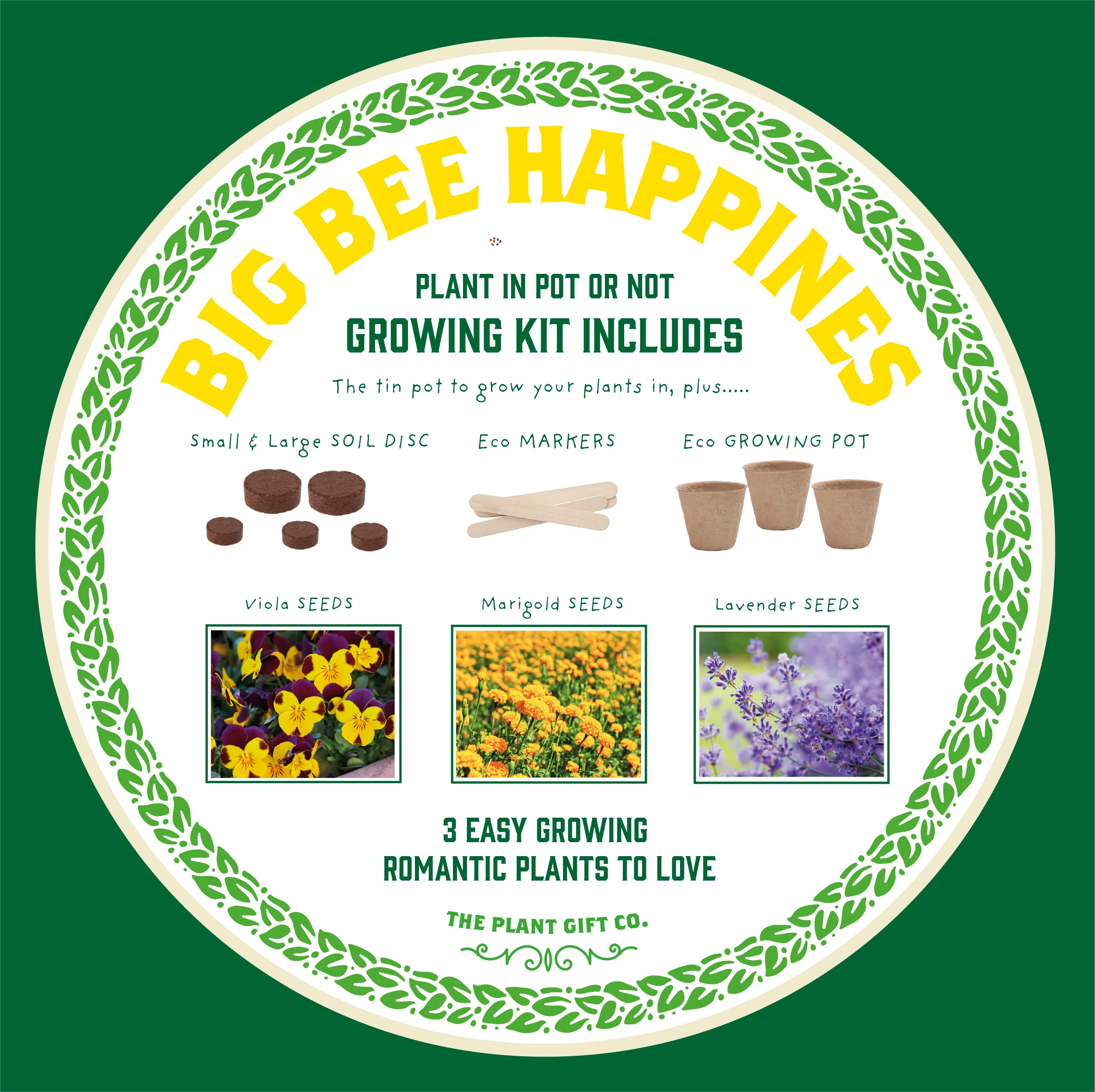The Plant Gift Co. Big Bee Happiness Eco Plant Grow Kit - Image 8
