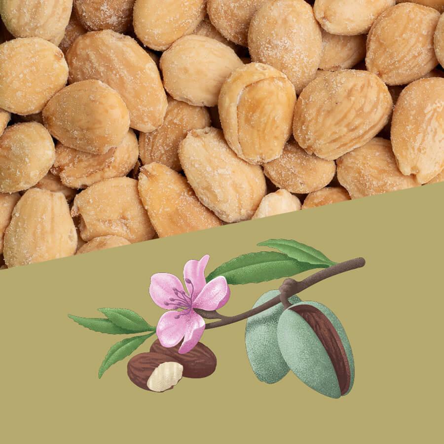 Perello Salted Marcona Almonds (1kg)