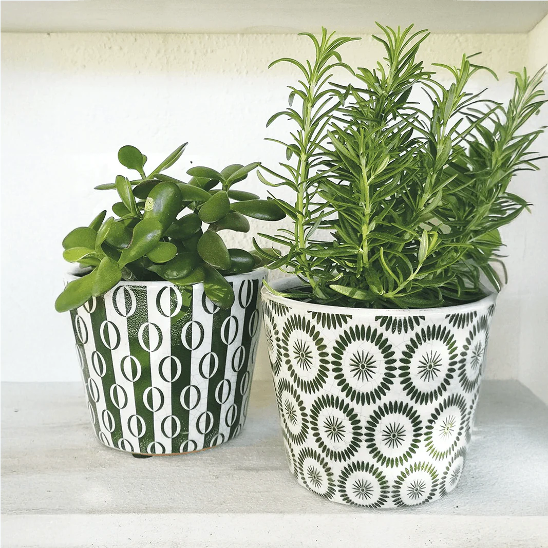 Casa Verde Plant Pot Soho Charcoal - Assorted (14x12cm)