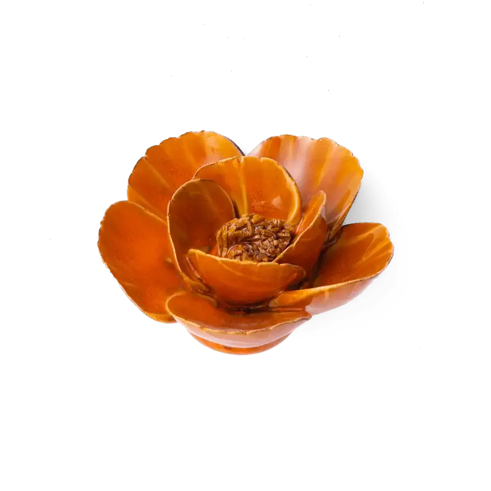 Chive - Burnt Orange Poppy Flower - Image 2