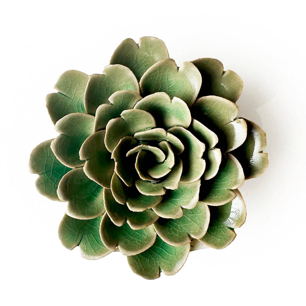 Chive - English Garden, Jungle Green Tea Rose