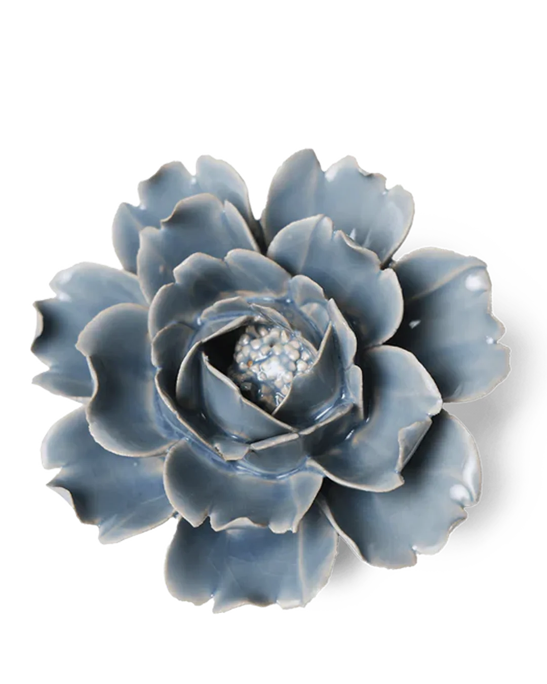 Chive - English Garden, Pastel Blue Rose