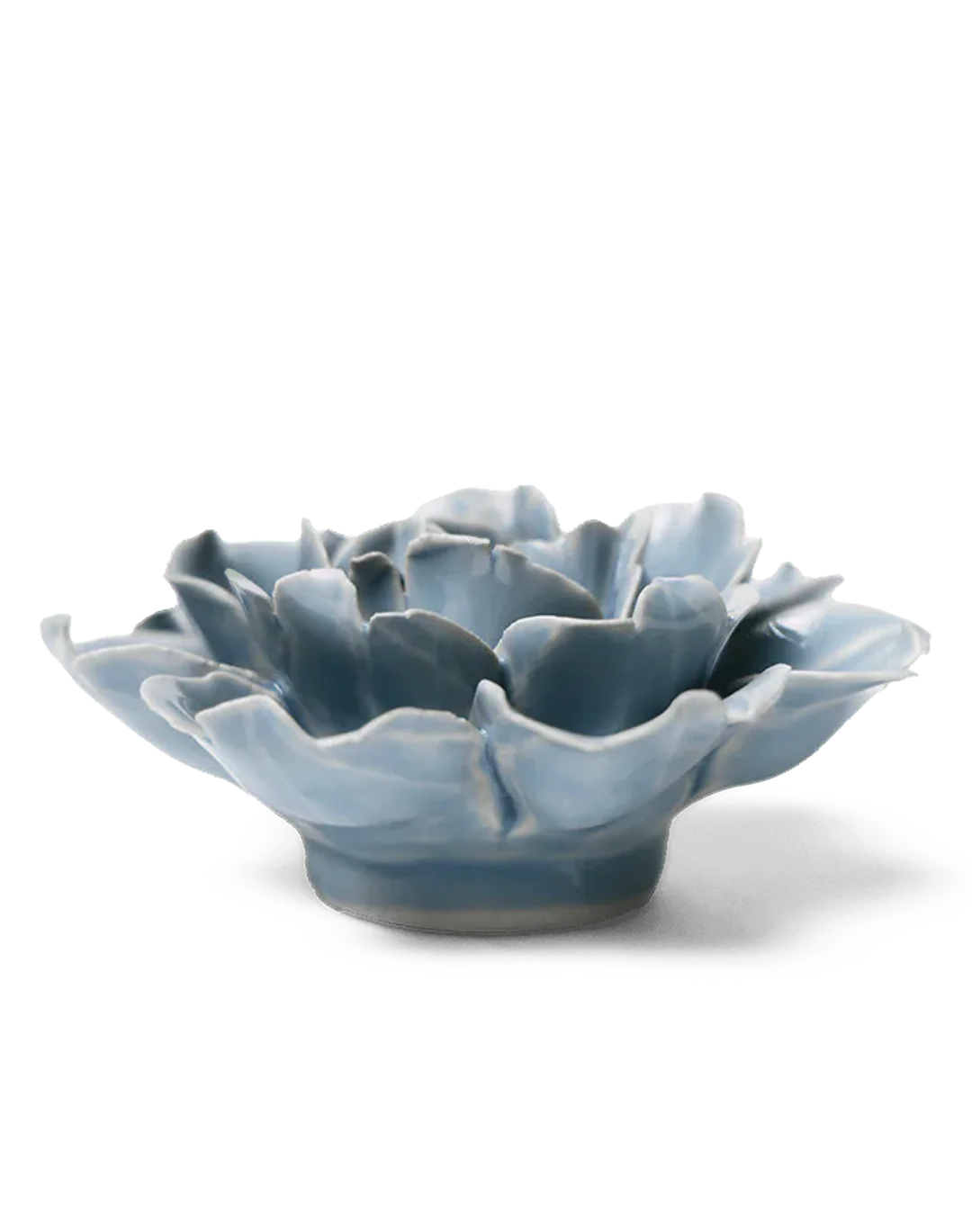 Chive - English Garden, Pastel Blue Rose - Image 3