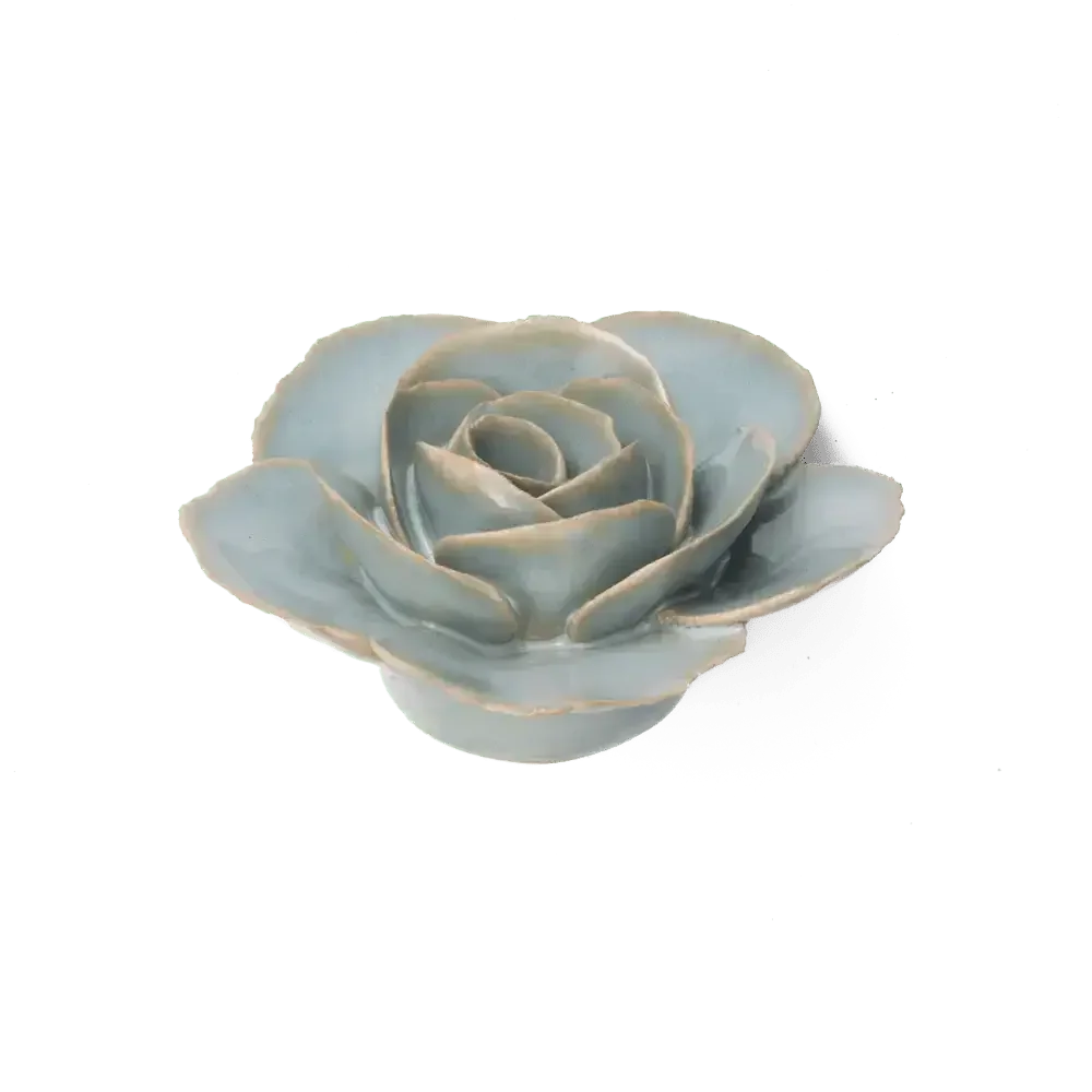 Chive - Milk Teal Elegance Ranunculus Flower Shop Gift Items - Image 2