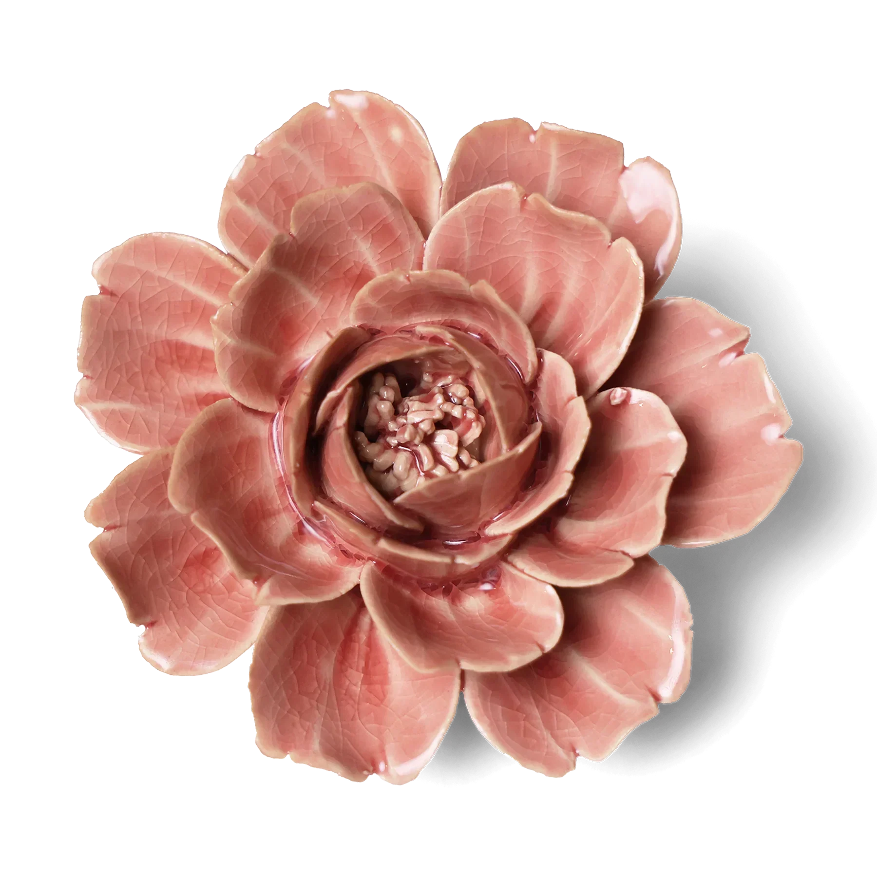 Chive - English Garden Champagne Ceramic Pink Rose Flower