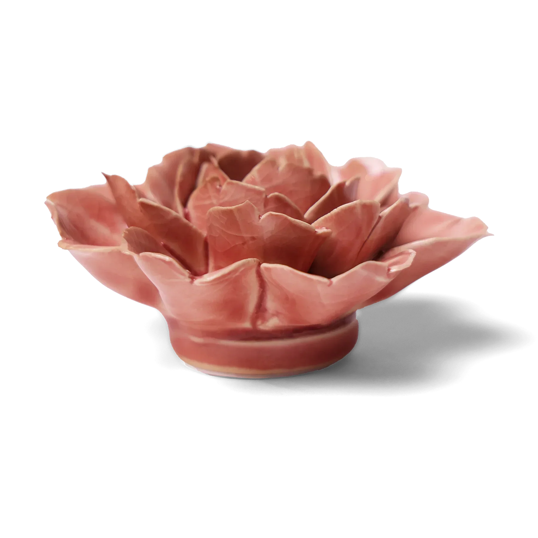 Chive - English Garden Champagne Ceramic Pink Rose Flower - Image 2