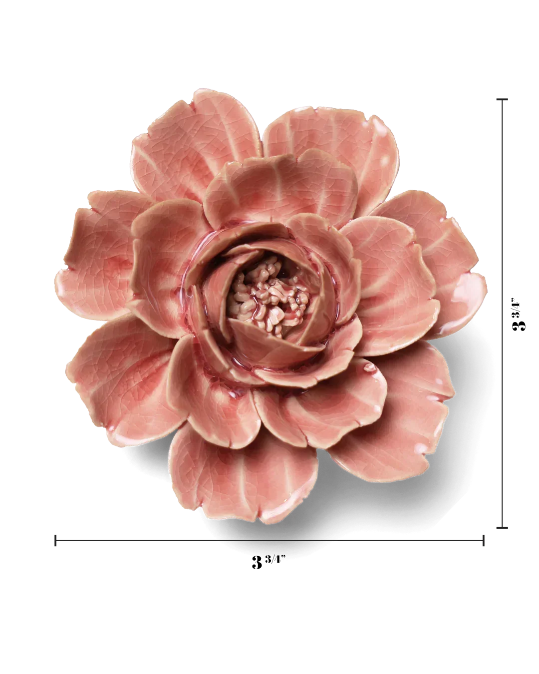 Chive - English Garden Champagne Ceramic Pink Rose Flower - Image 3