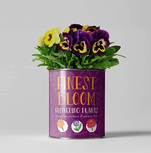 The Plant Gift Co. Finest Blooms Eco Grow Your Own Flowers Kit.