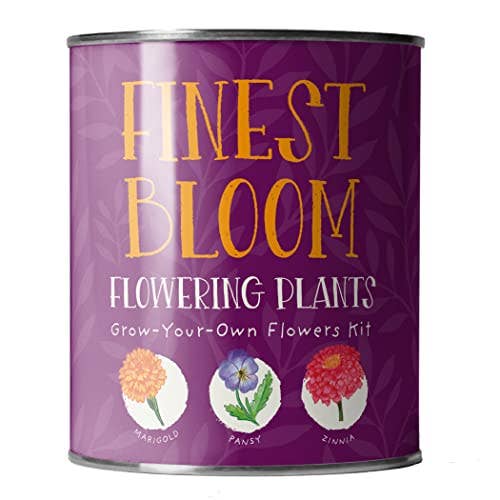 The Plant Gift Co. Finest Blooms Eco Grow Your Own Flowers Kit. - Image 3