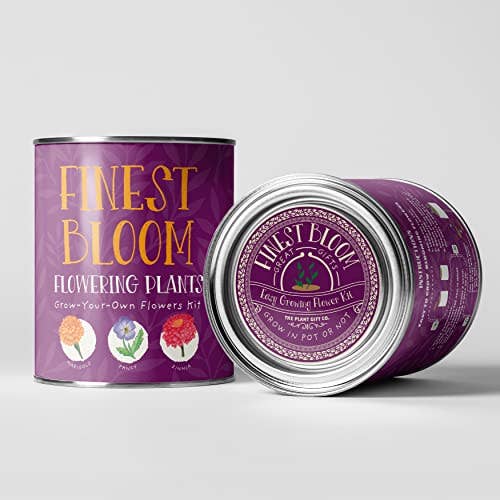 The Plant Gift Co. Finest Blooms Eco Grow Your Own Flowers Kit. - Image 4