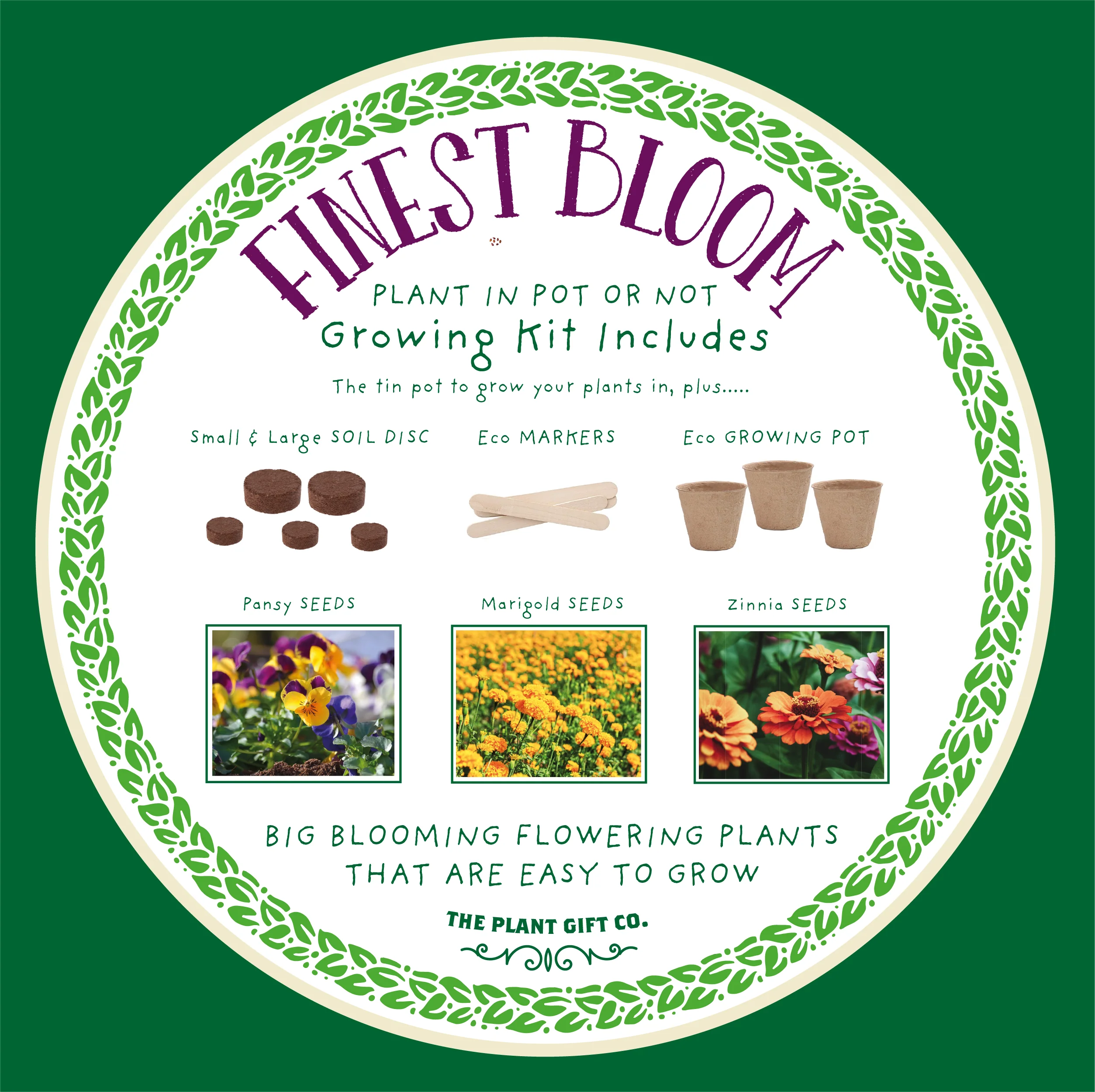 The Plant Gift Co. Finest Blooms Eco Grow Your Own Flowers Kit. - Image 5