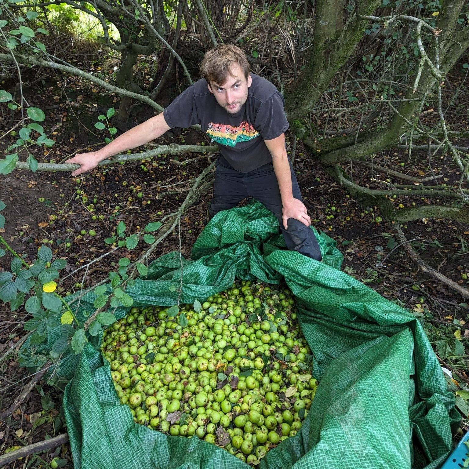Fruits of the Forage - Crab Apple Chilli Jam (210g) - Image 2