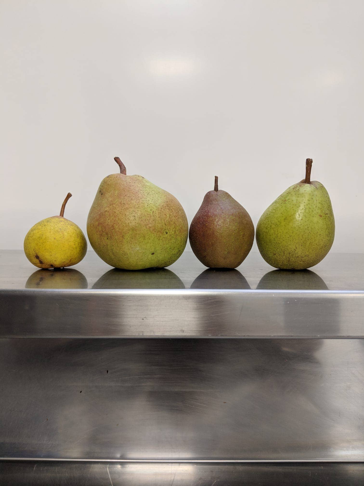 Fruits of the Forage - Heritage Pear Chutney (195g) - Image 2