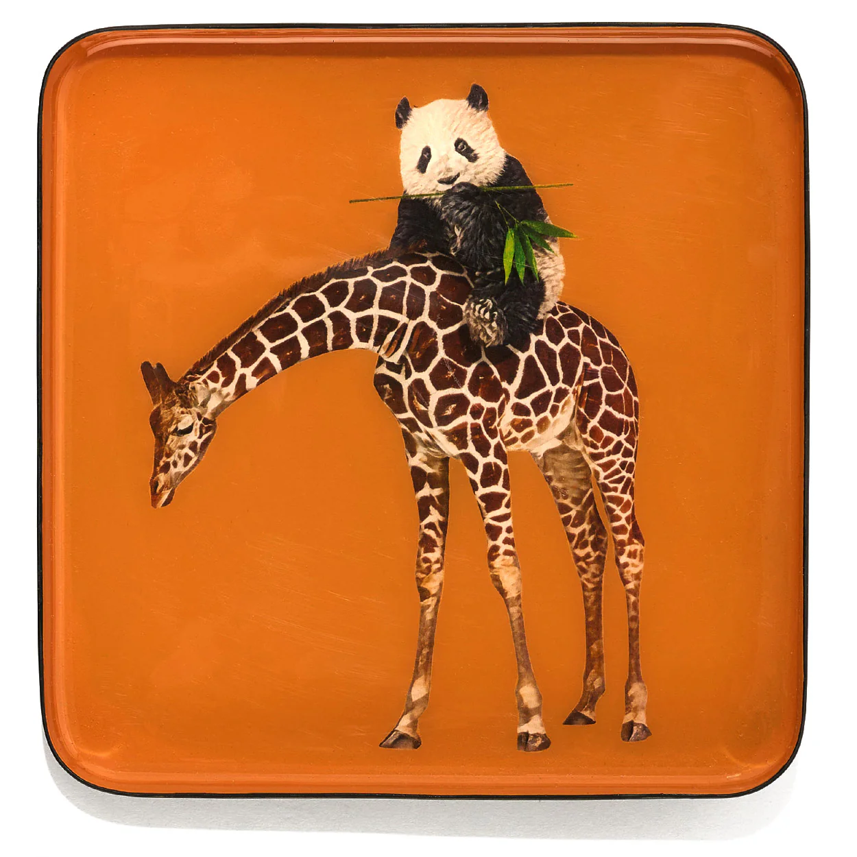 Gangzai Design Bandipanda Square Trinket Tray