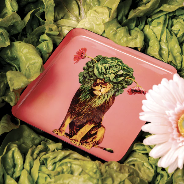 Gangzai Design Leo Square Trinket Tray - Image 3