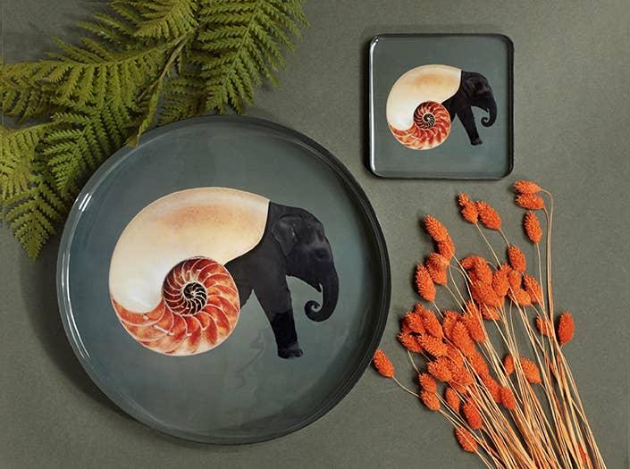 Gangzai Design Square Trinket Tray – Shellephant (15cm) - Image 2