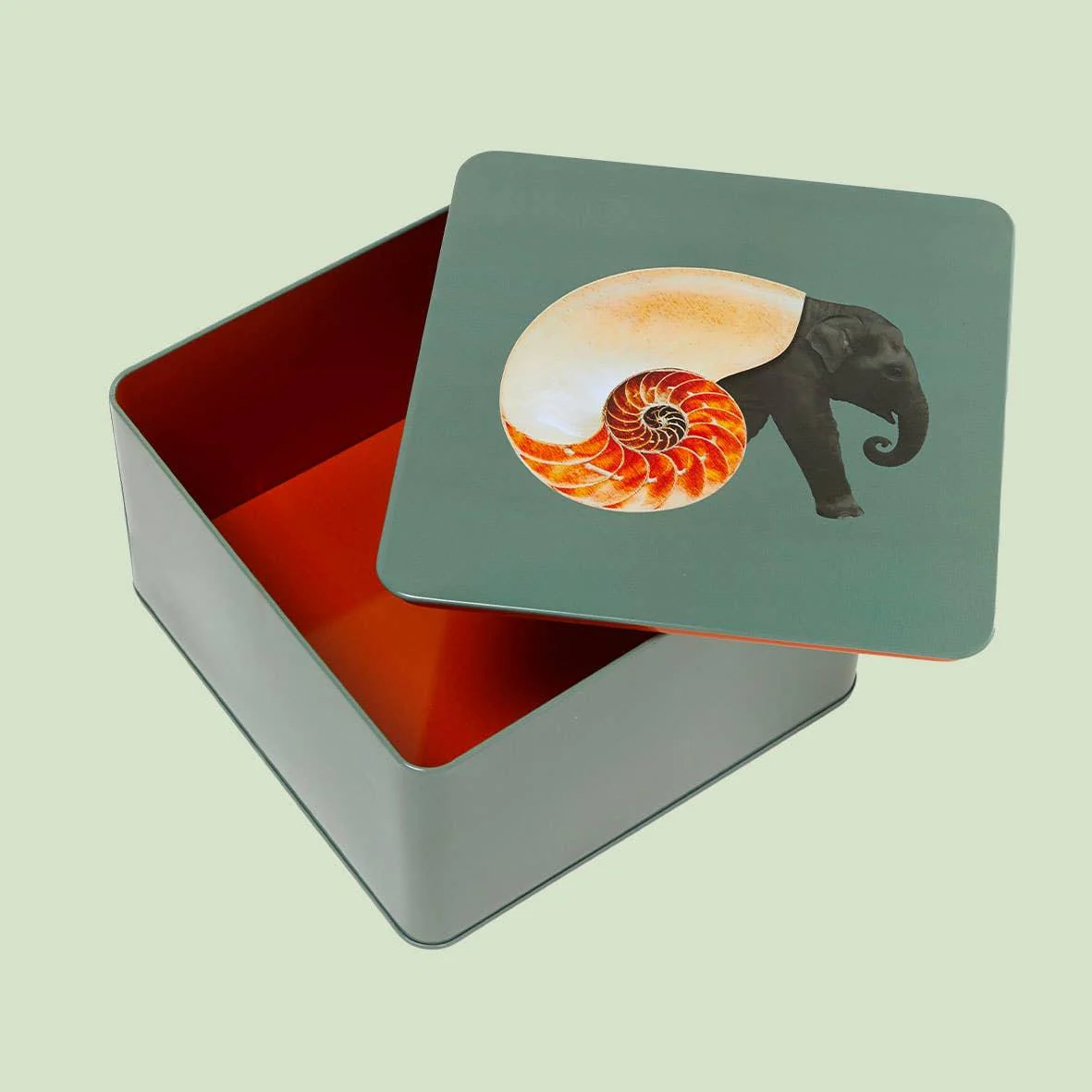 Gangzai Design Shellephant Square Metal Box - Image 3