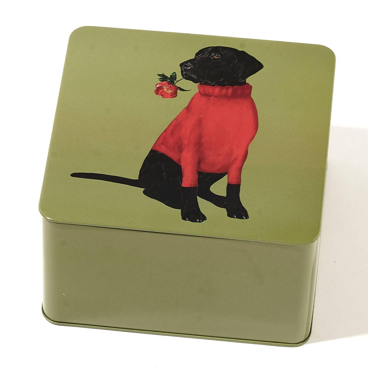 Gangzai Design Square Metal box Boite Carree Toox