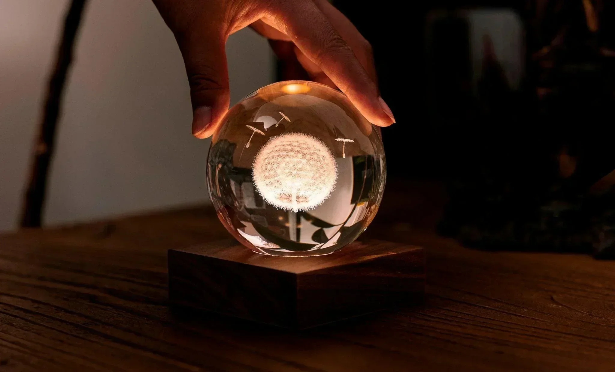 Gingko Amber Crystal Light - Dandelions - Image 4
