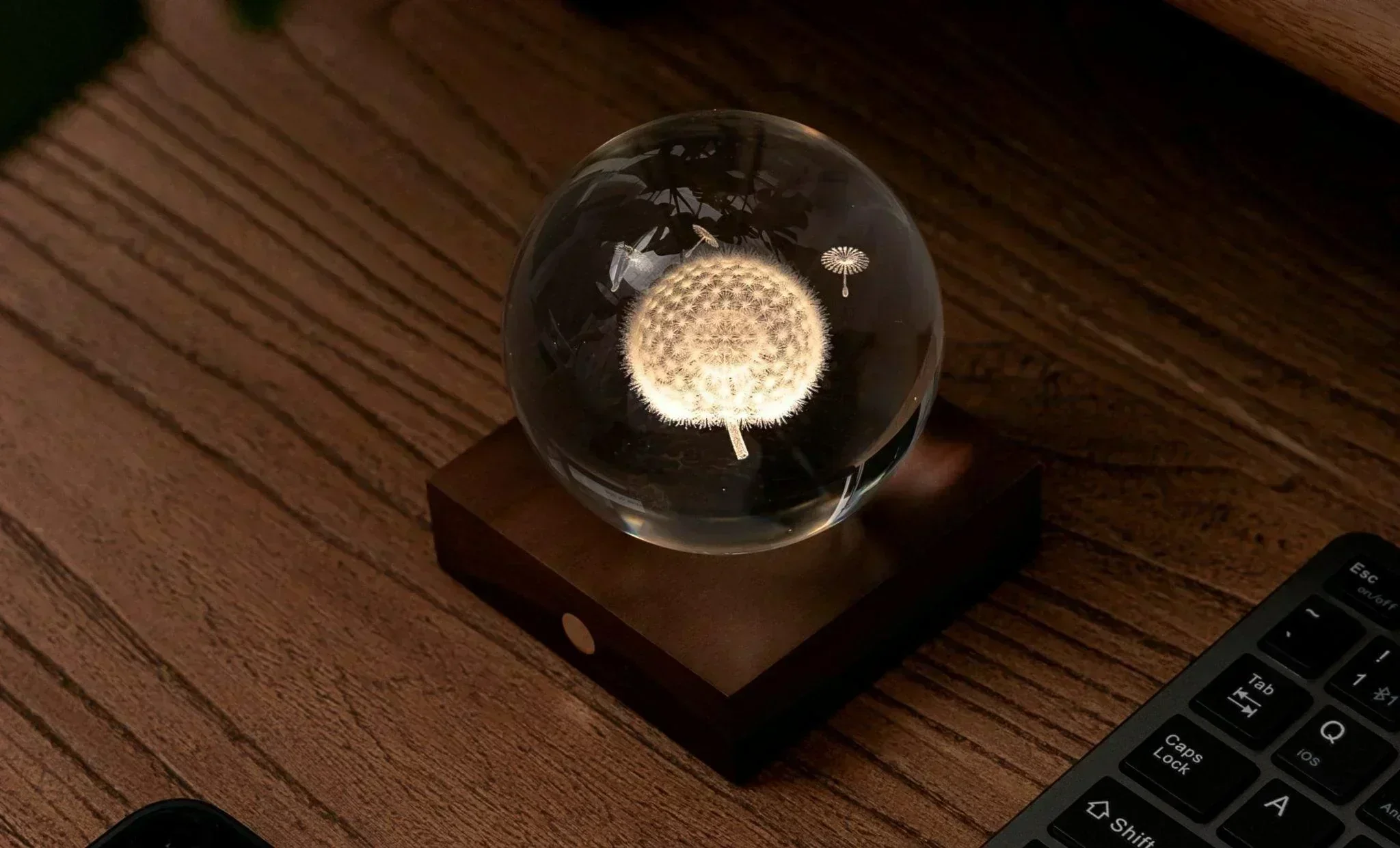 Gingko Amber Crystal Light - Dandelions - Image 5