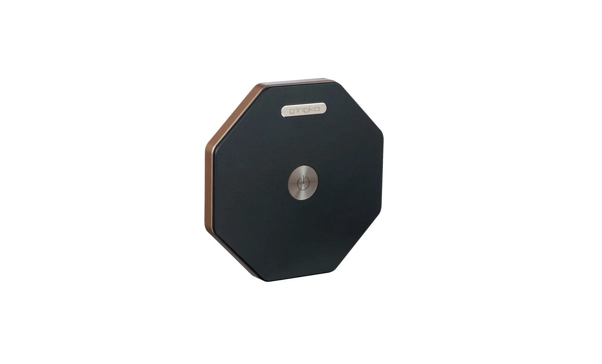 Gingko Twist Hexagon Lamp - Black - Image 2