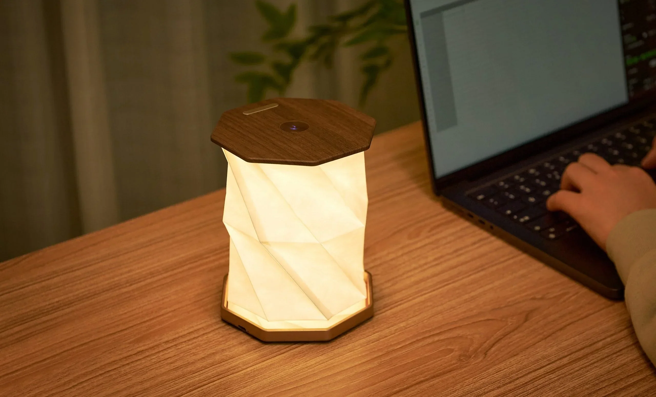 Gingko Twist Hexagon Lamp - Walnut - Image 5