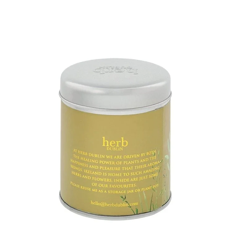 Herb Dublin - Holly Jolly Christmas Candle Tin - Image 2