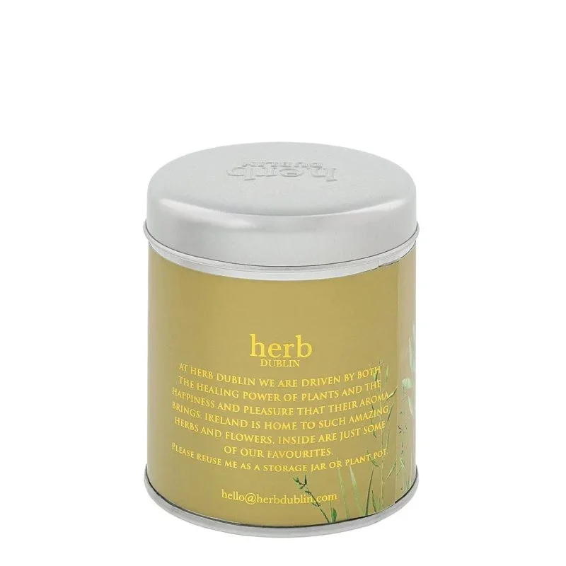 Herb Dublin - Holly Jolly Christmas Candle Tin - Image 4