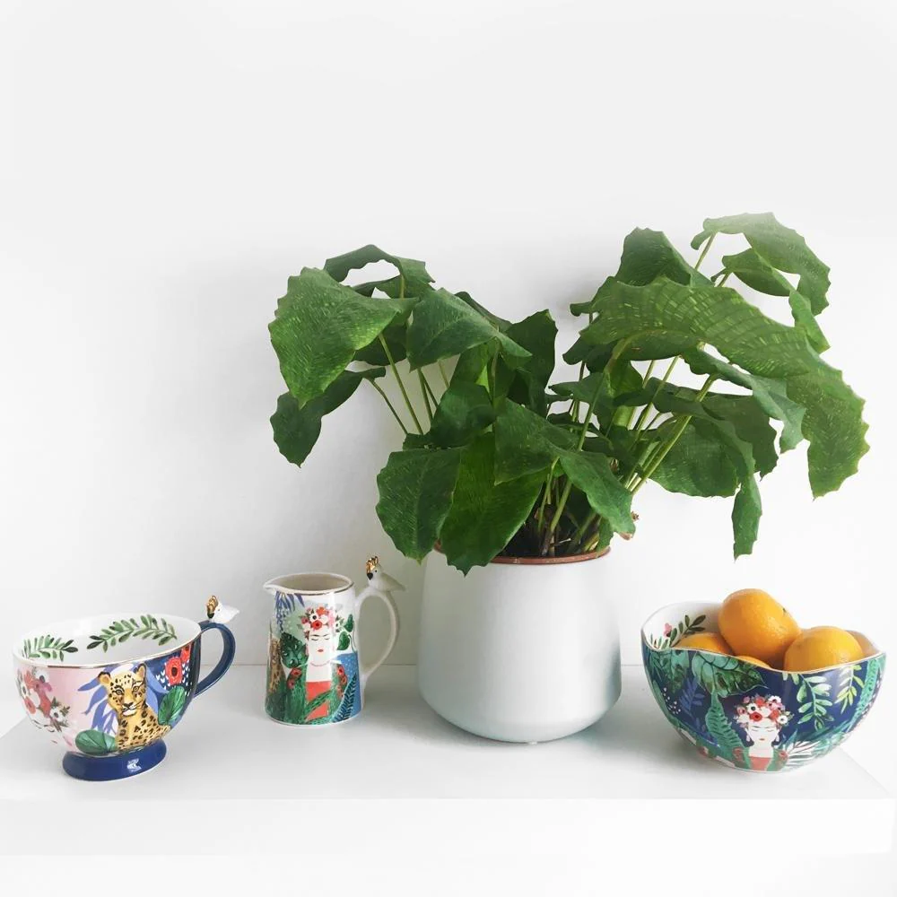 House Of Disaster Frida Kahlo Tropical Cup - Image 9