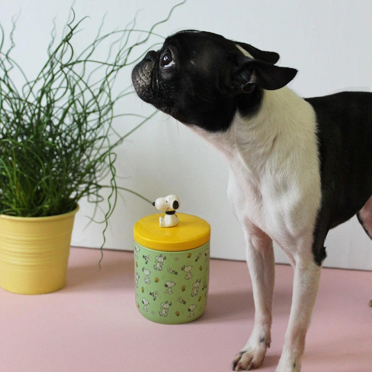 House of Disaster Peanuts Dog Treat Jar - Image 2