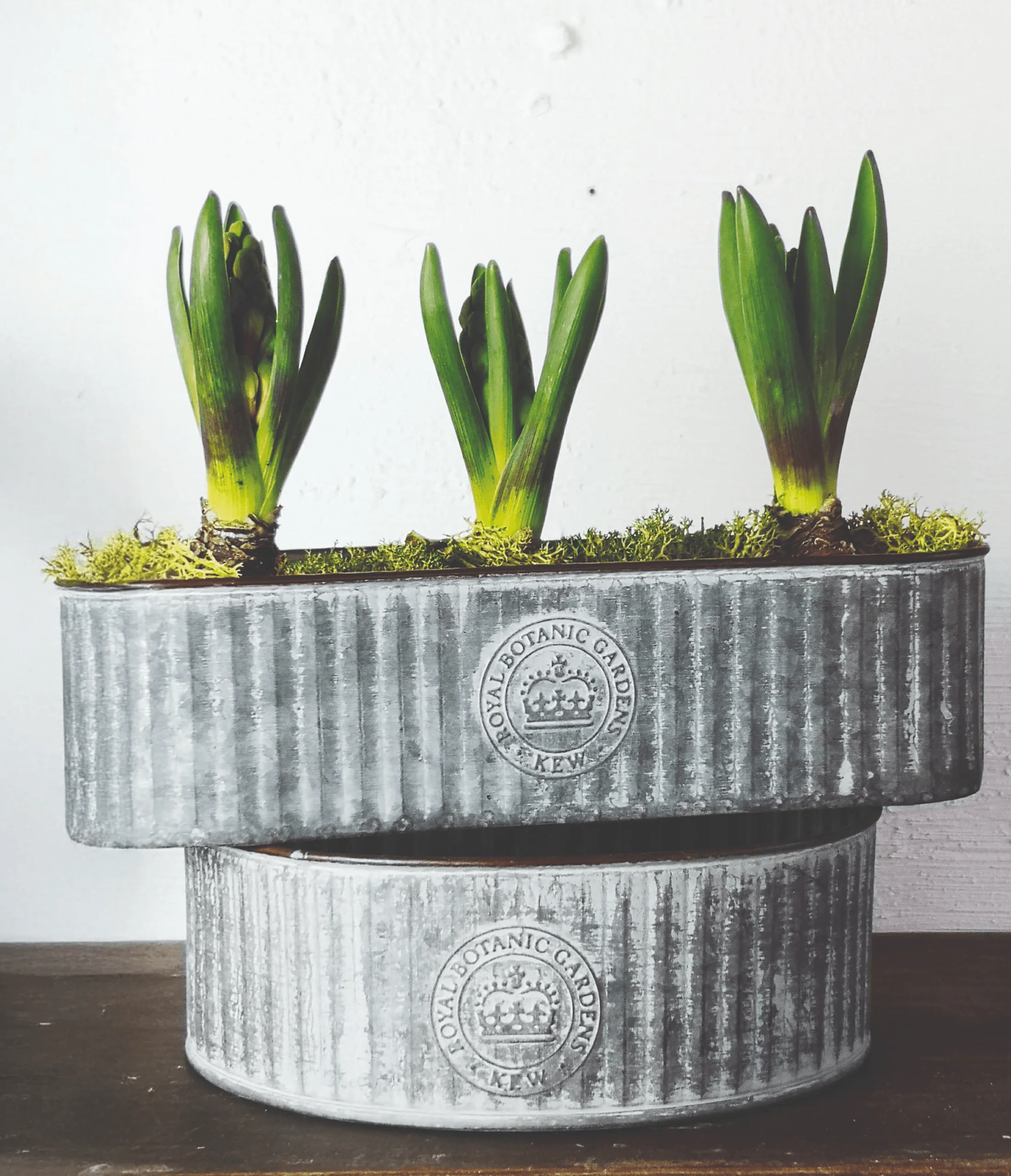 Kew Gardens Long Ribbed Zinc Planter (20x8x7cm) - Image 2