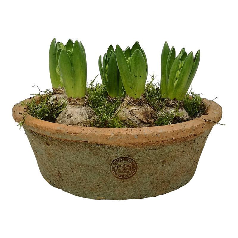 Kew Gardens Terracotta Dish Planter - Antique Red (25x8.5cm) - Image 2