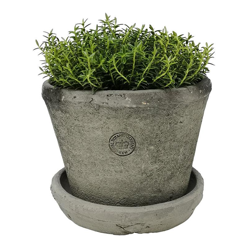 Kew Gardens Terracotta Large Pot - Antique Grey (20x15cm) - Image 2