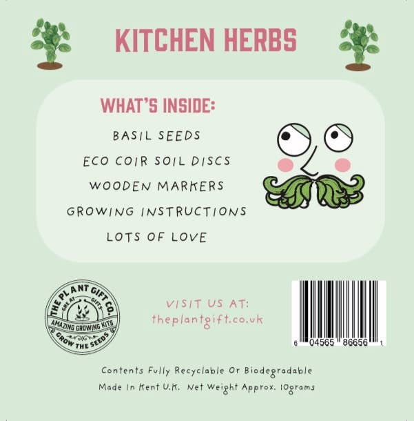 The Plant Gift Co. Kitchen Herb Eco Mini Basil Grow Kit - Image 4