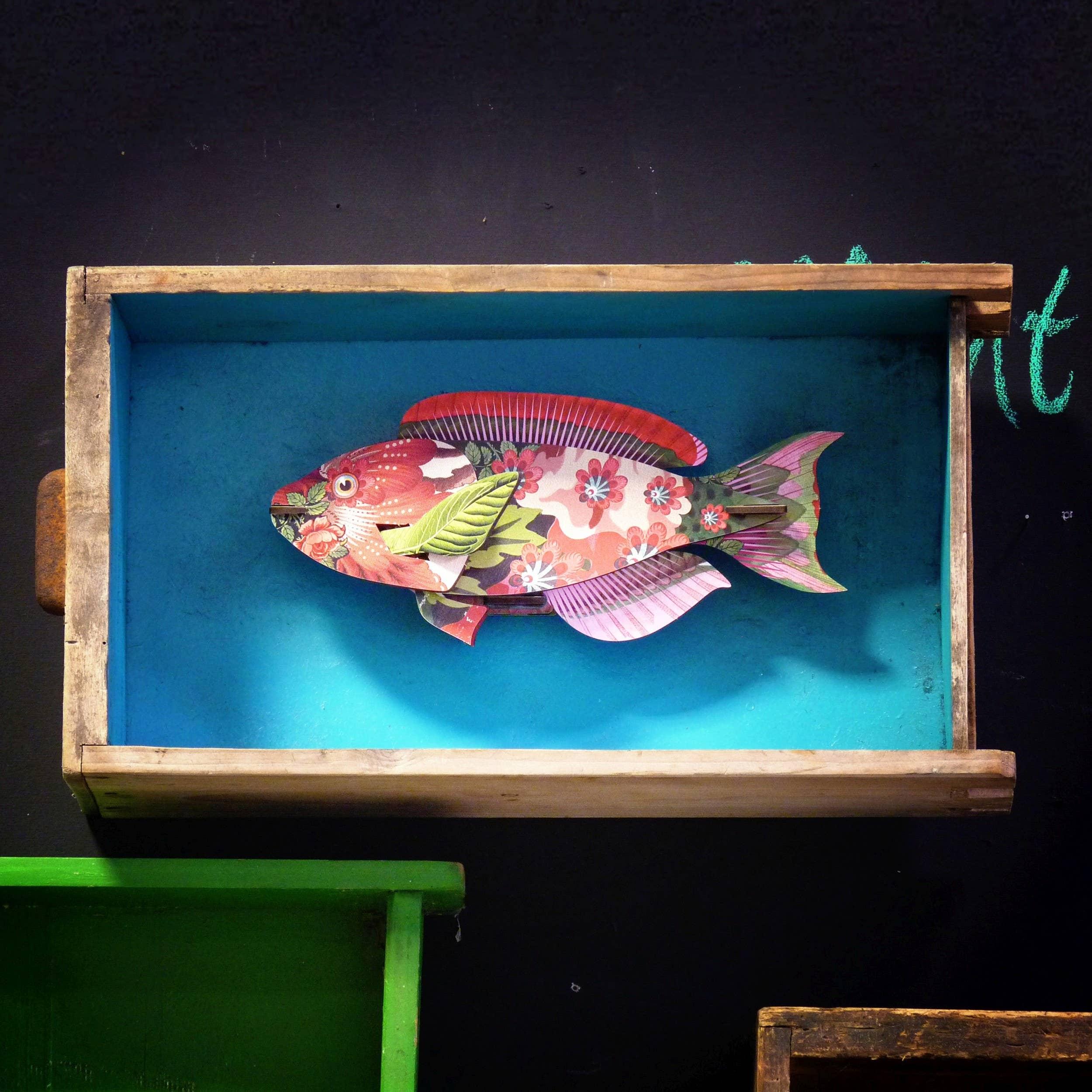 Miho - Decorative Fish (small) - Abracadabra - Image 2