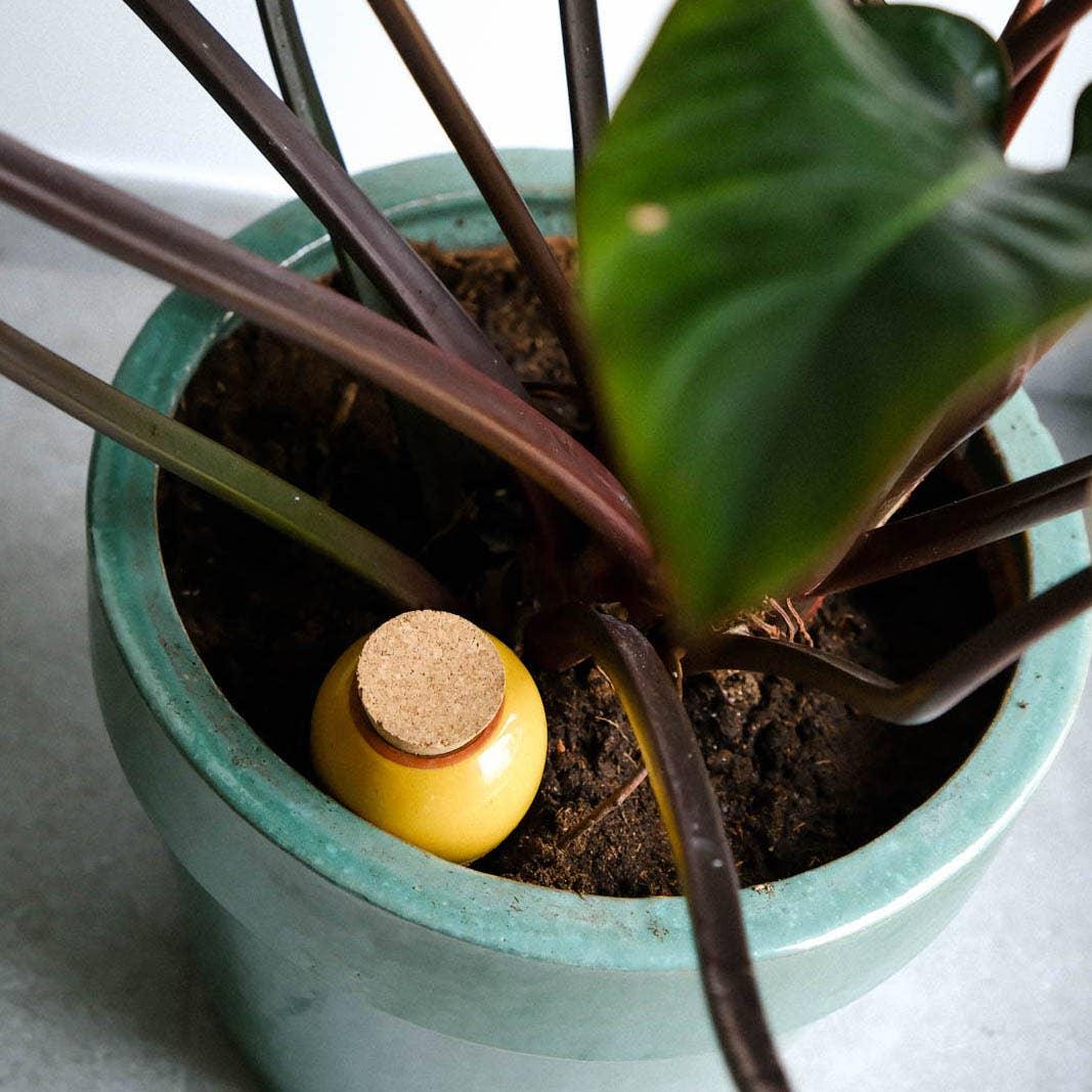 Pepin Olla - Mustard yellow - Image 2
