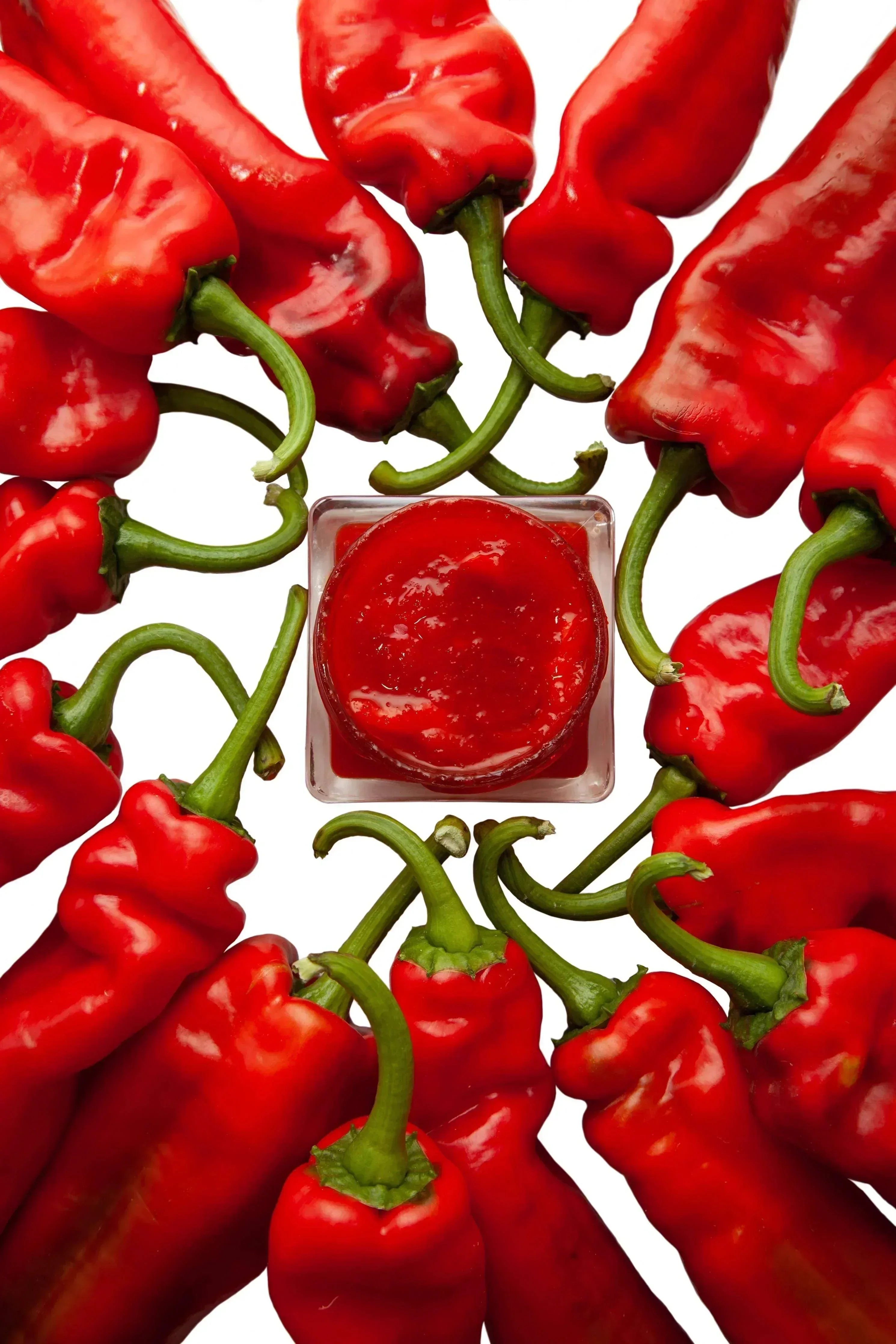 LoRUSSo Organic Artisanal Sweet Pepper Jam (305g) - Image 6