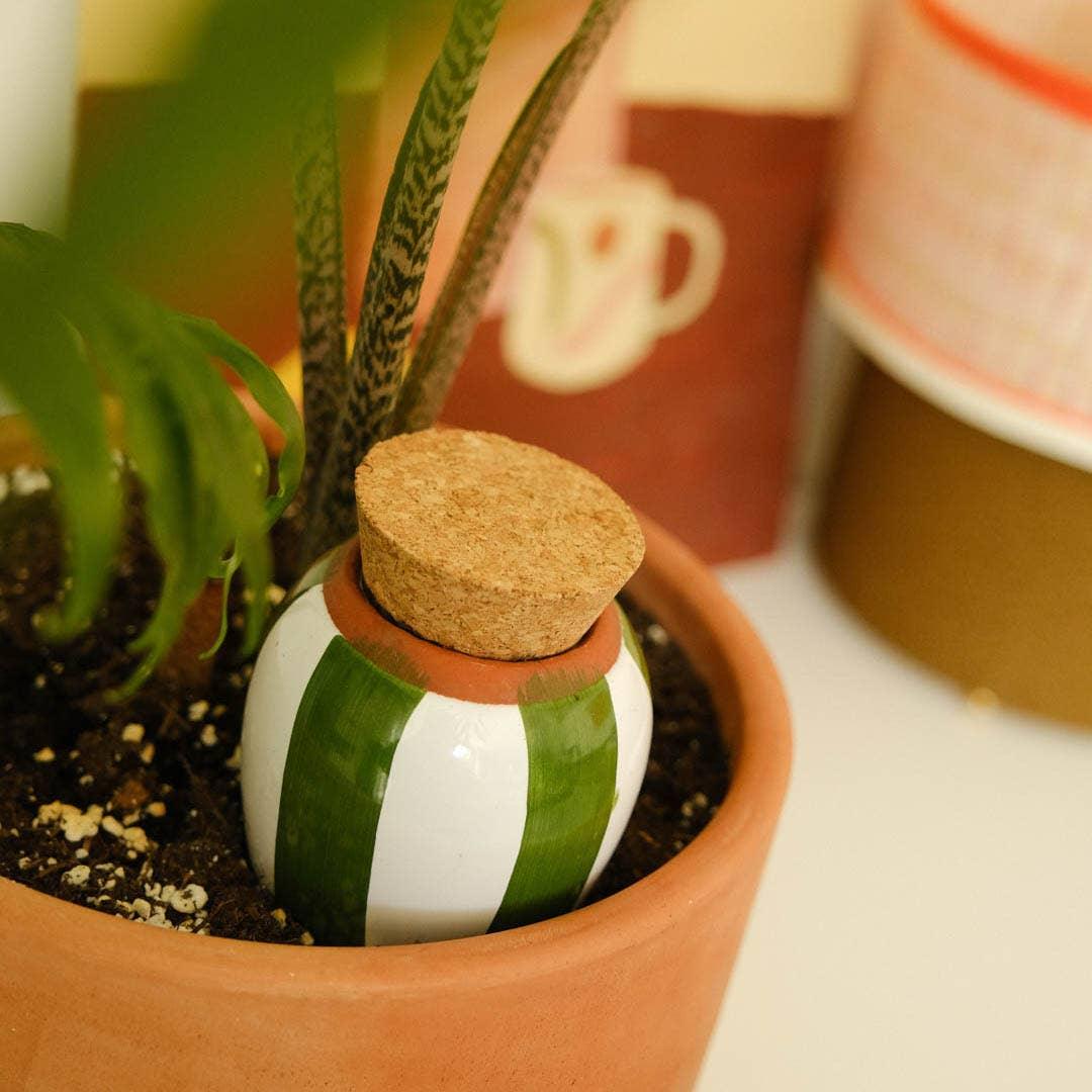 Pepin Olla - Green and ivory stripes - Image 2