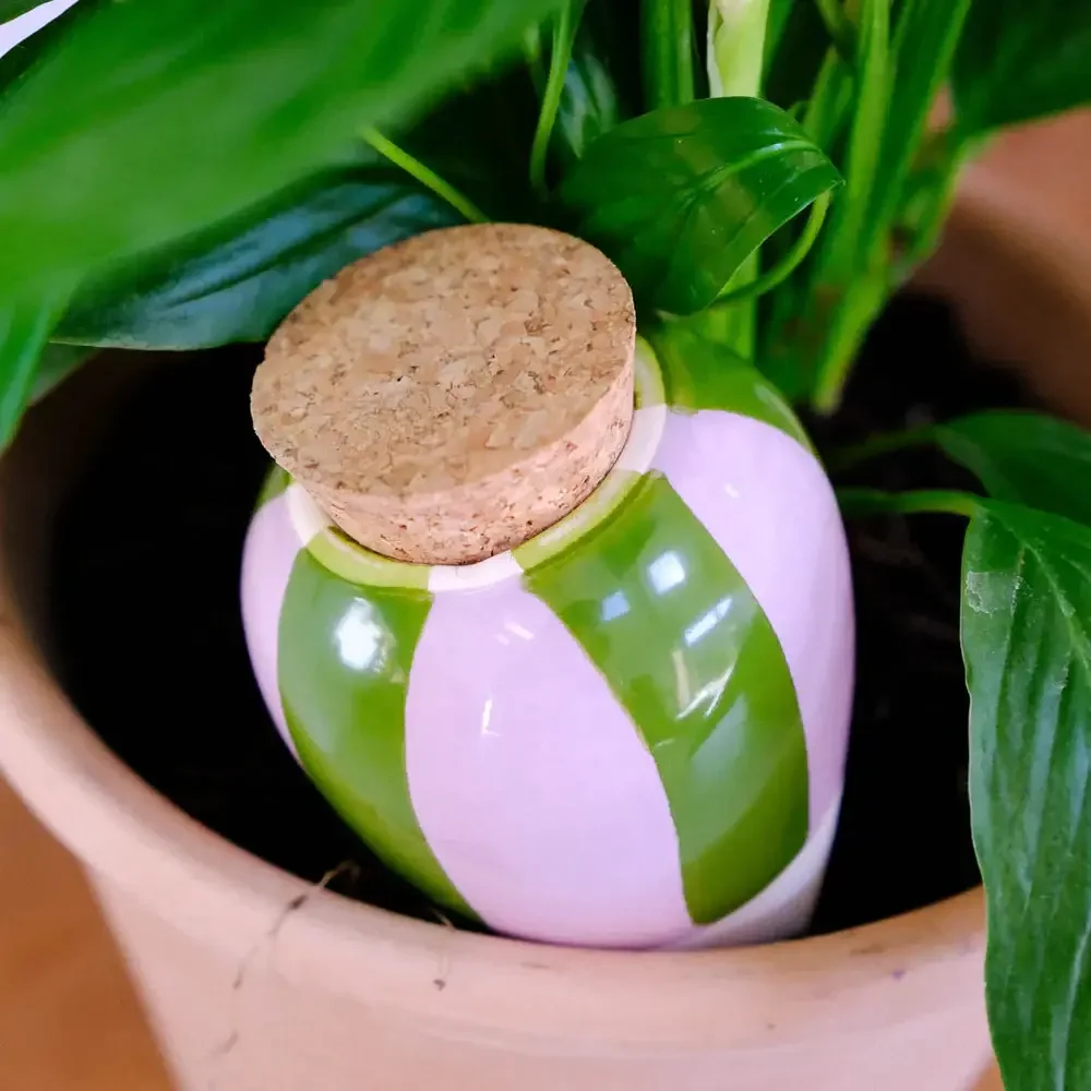 Pepin Olla - Green and lilac stripes - Image 3