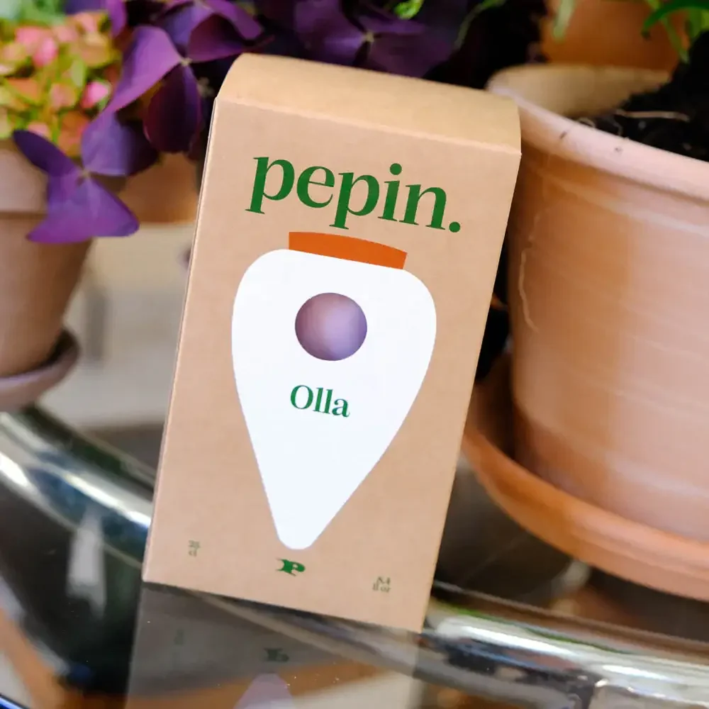 Pepin Olla - Green and lilac stripes - Image 4