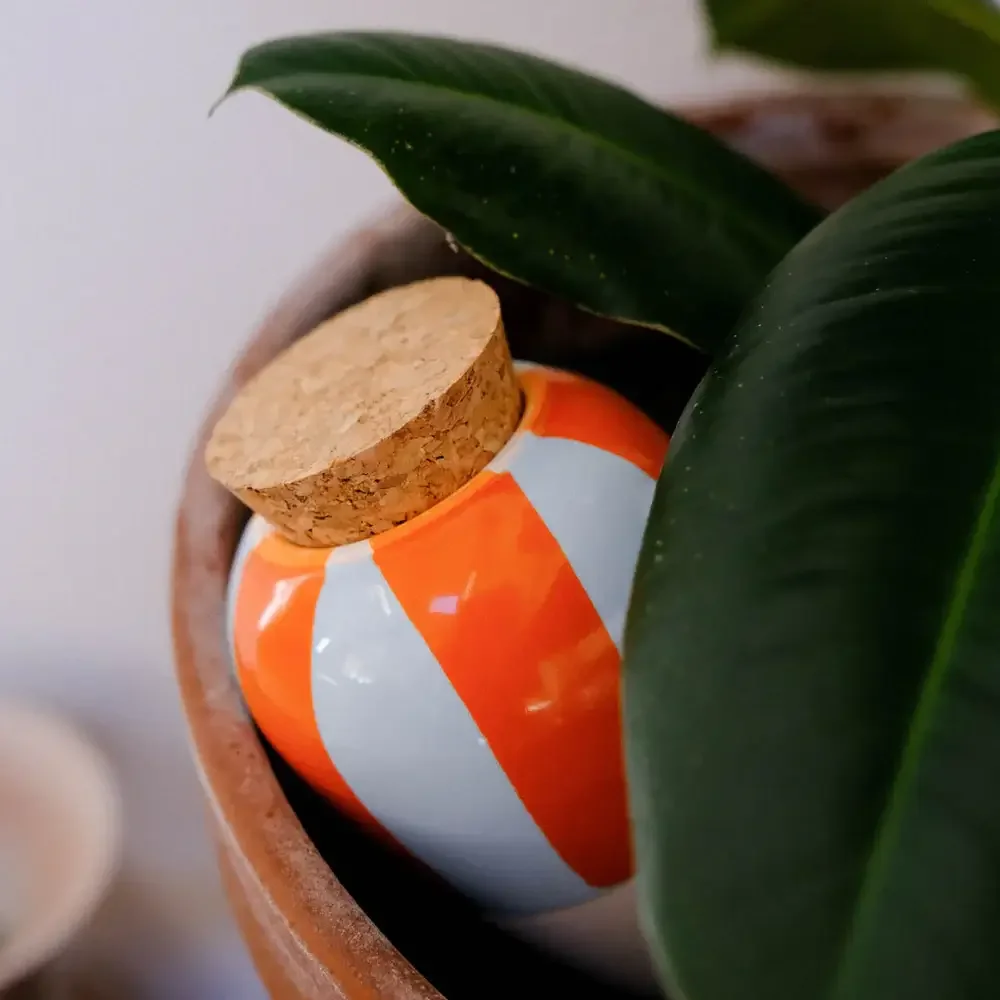 Pepin Olla - Orange and blue stripes - Image 3