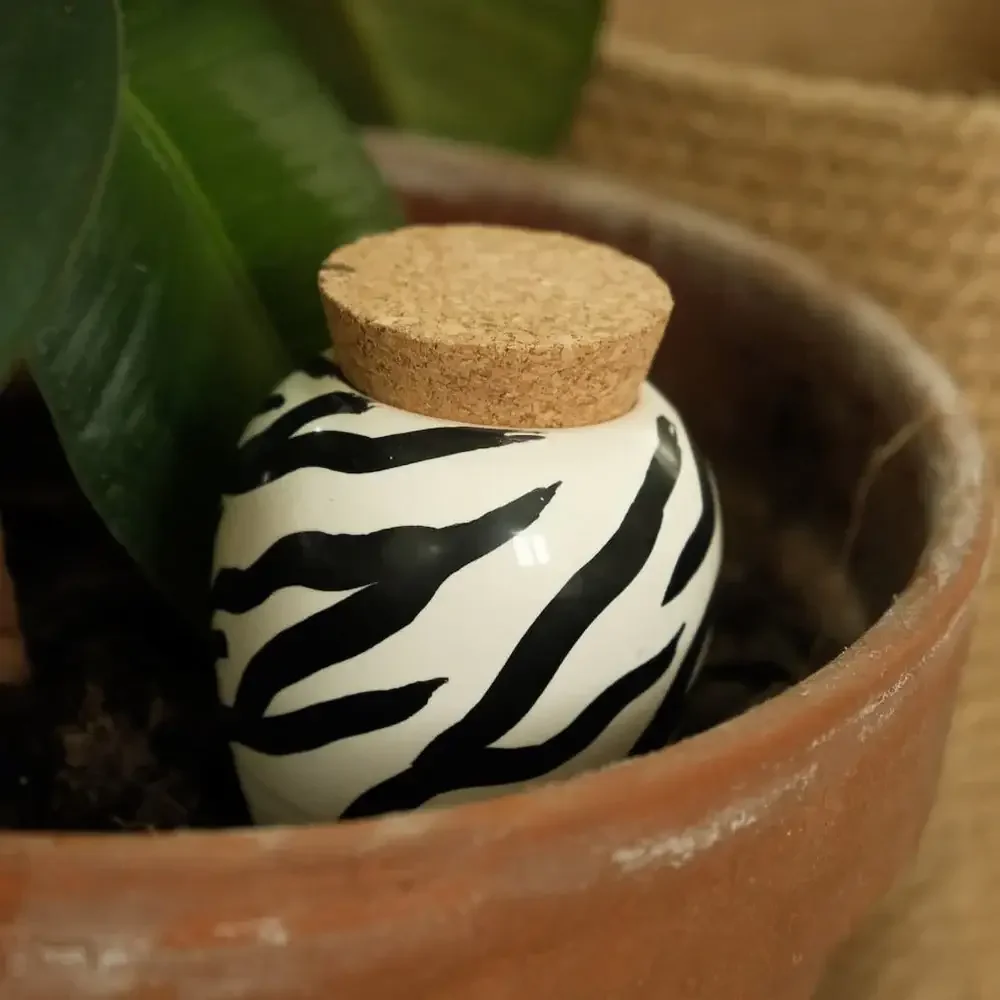 Pepin Olla - Zebra - Image 2