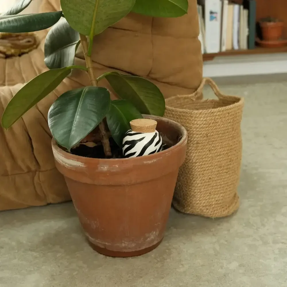 Pepin Olla - Zebra - Image 3