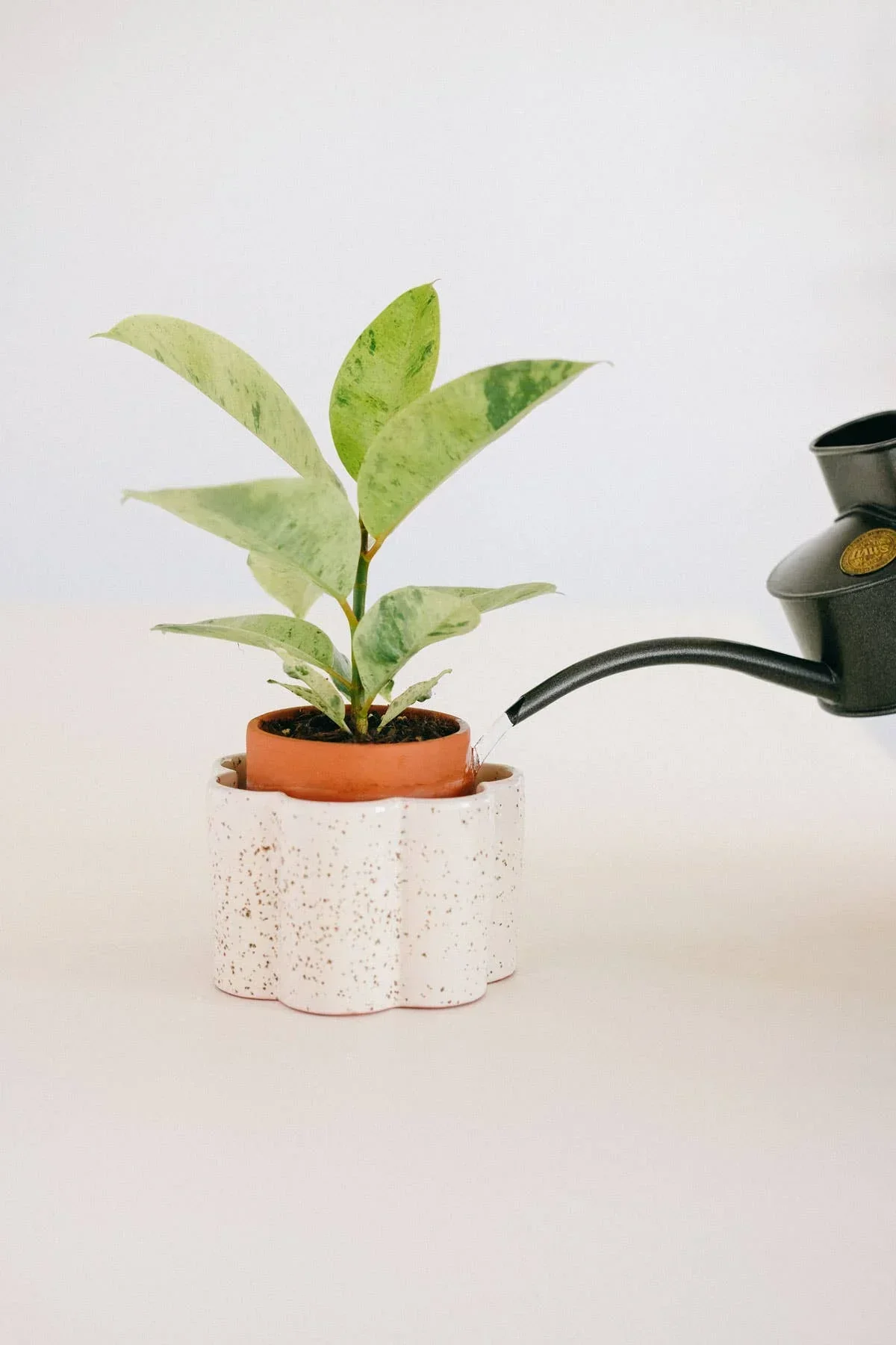 Pepin Self-watering pot Paulita (S) - Speckled white - Image 4