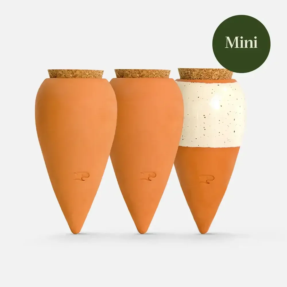 Pepin Trio Mini Ollas - the Iconics